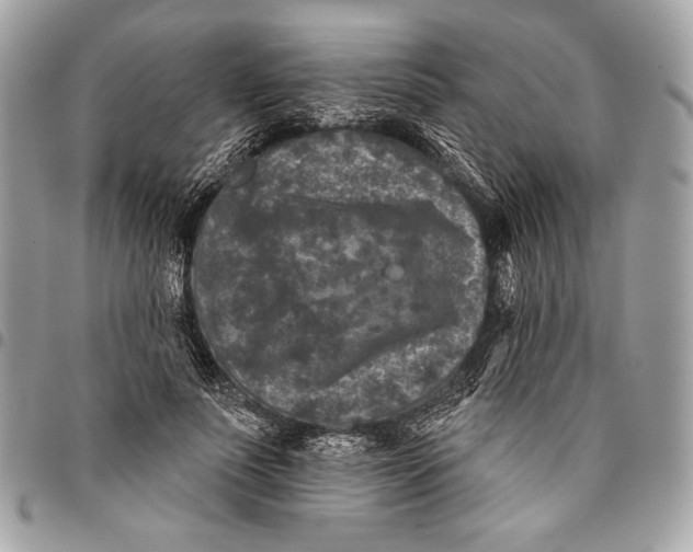 X0000096130691200802081326