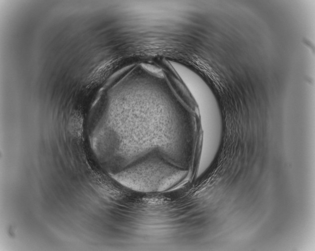 X0000096130693200802081326