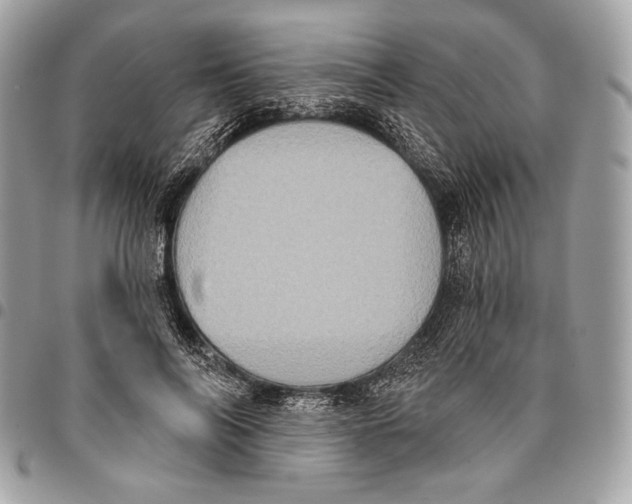 X0000096130694200802081326
