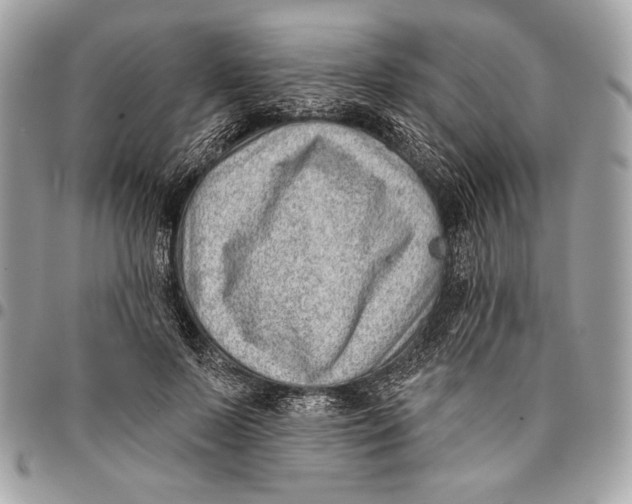 X0000096130695200802081326