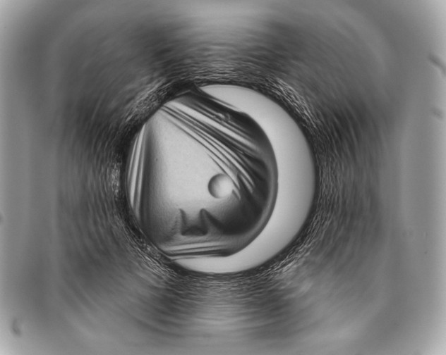 X0000096130697200802081326