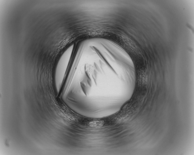 X0000096130700200802081326