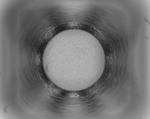 X0000096130702200802081326