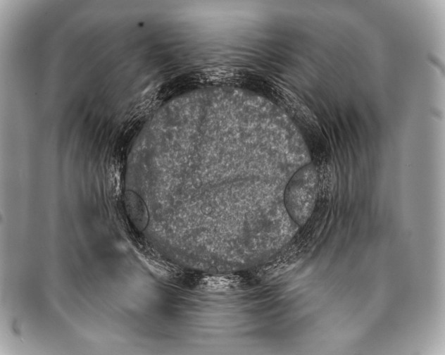 X0000096130703200802081326