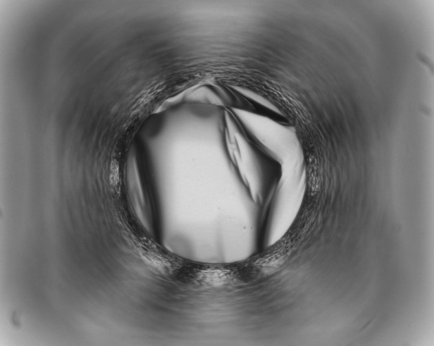 X0000096130704200802081326