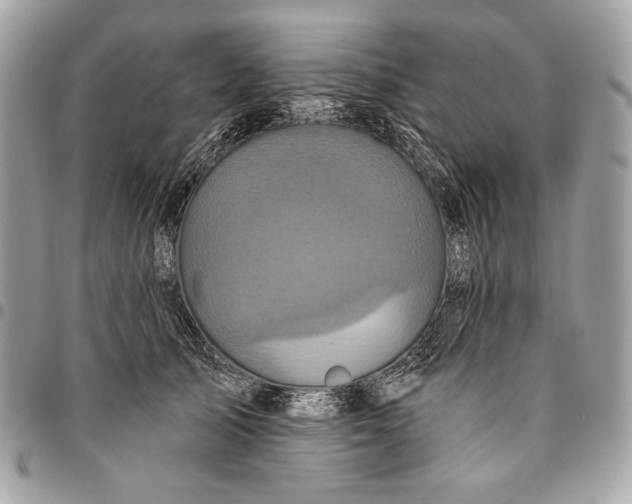 X0000096130705200802081326