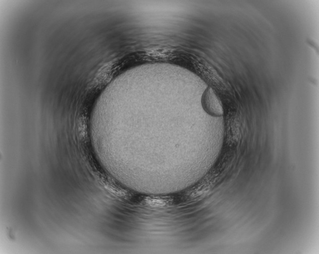 X0000096130706200802081326