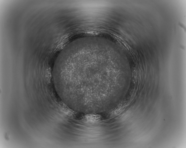 X0000096130707200802081326