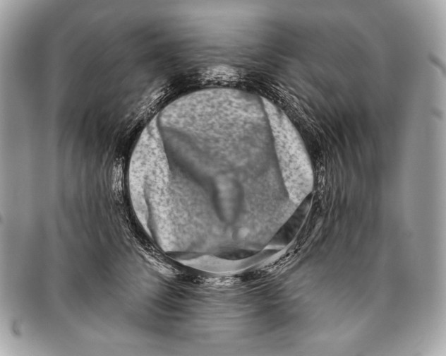 X0000096130708200802081326