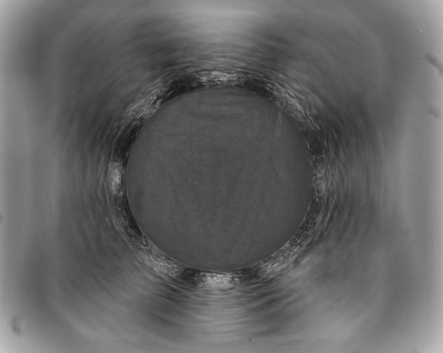 X0000096130709200802081326