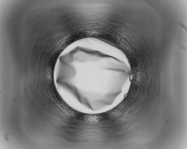 X0000096130710200802081326