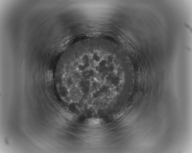 X0000096130711200802081326