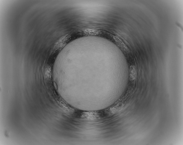 X0000096130713200802081326