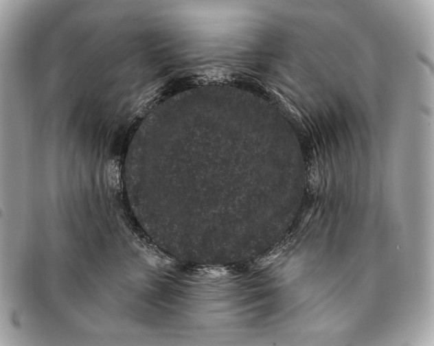 X0000096130715200802081326