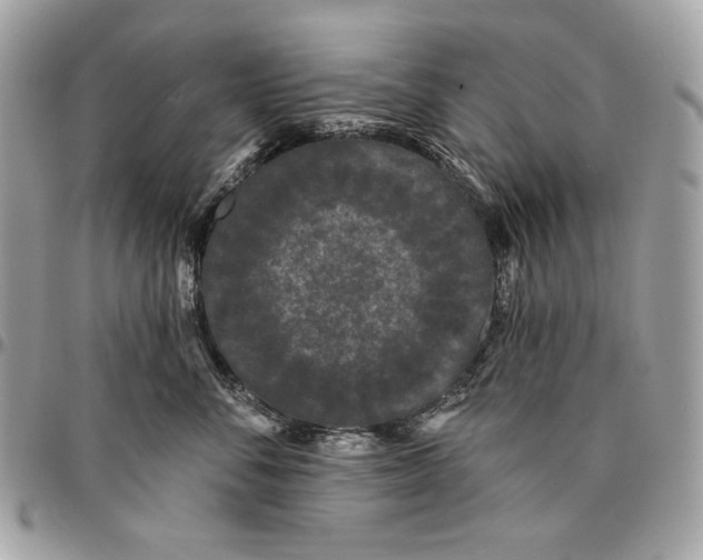 X0000096130716200802081326