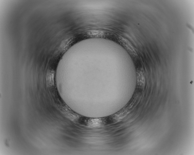 X0000096130717200802081326