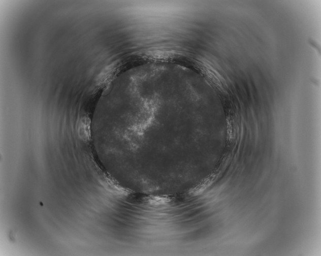 X0000096130718200802081326