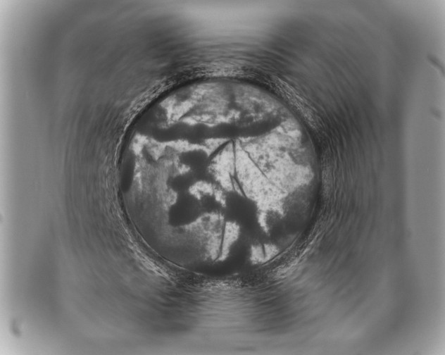 X0000096130721200802081325