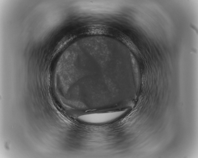 X0000096130722200802081325
