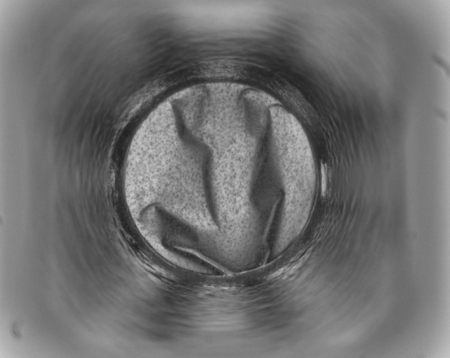 X0000096130723200802081325