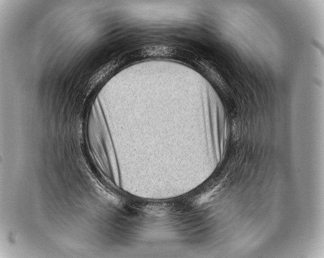X0000096130725200802081325