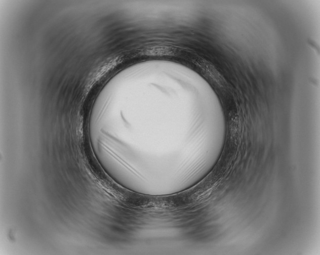 X0000096130727200802081325