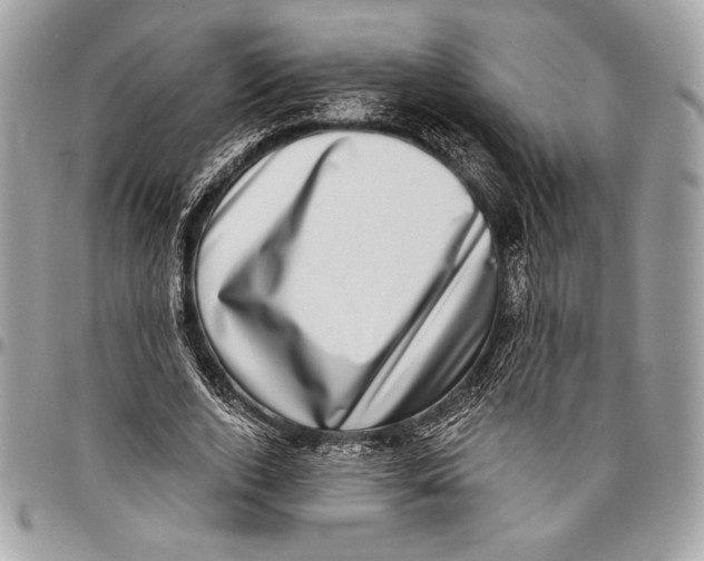 X0000096130728200802081325