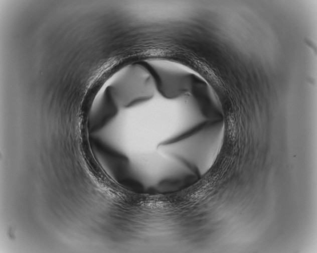X0000096130730200802081325