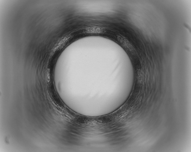 X0000096130731200802081325