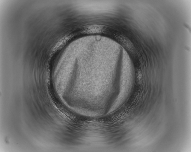 X0000096130732200802081325