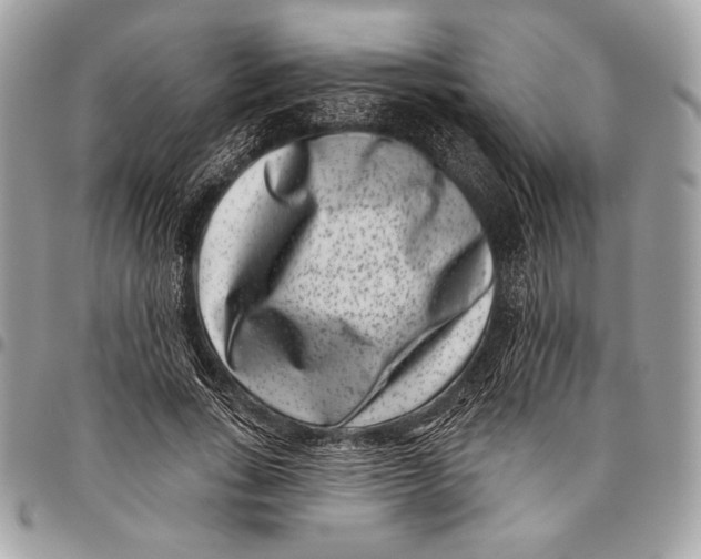 X0000096130735200802081325