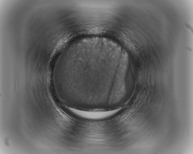 X0000096130736200802081325
