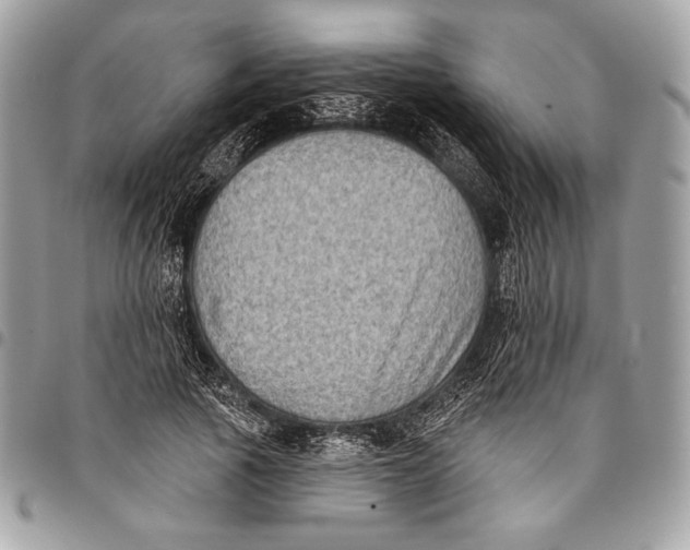 X0000096130737200802081325