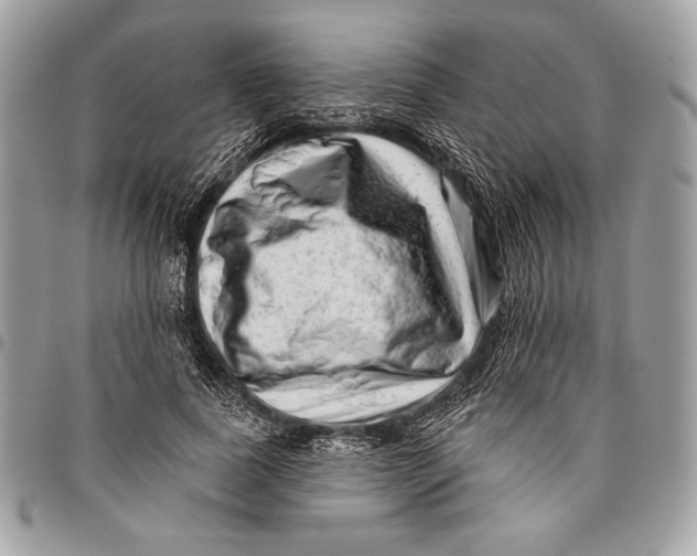 X0000096130739200802081325