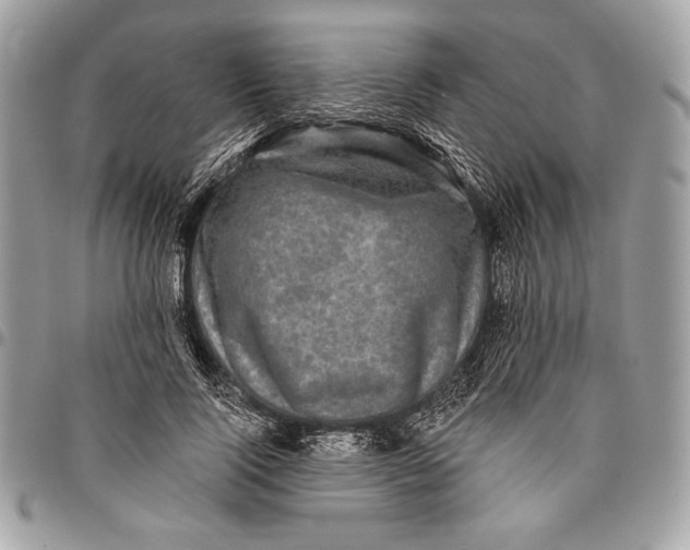 X0000096130740200802081325