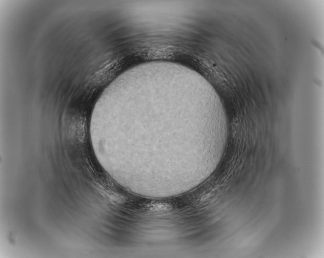 X0000096130741200802081325
