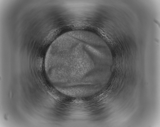 X0000096130742200802081325
