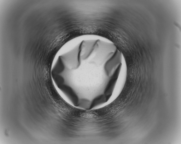 X0000096130743200802081325