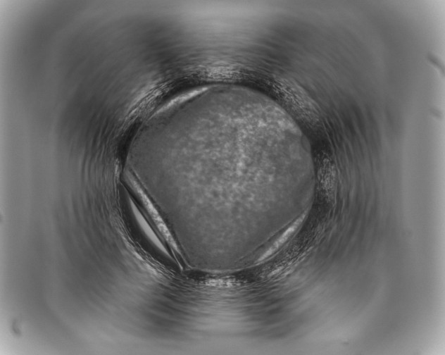 X0000096130744200802081325