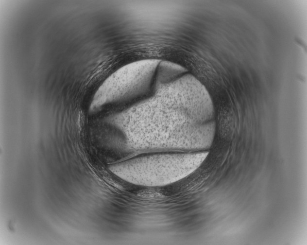 X0000096130747200802081325