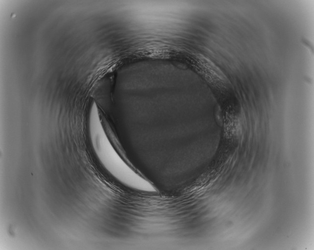 X0000096130748200802081325