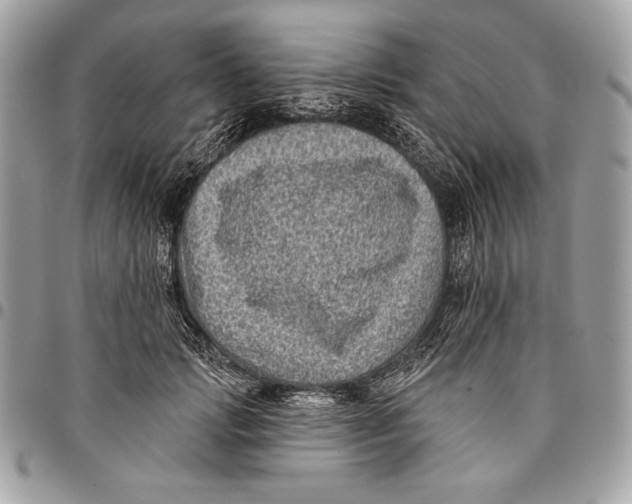 X0000096130749200802081325