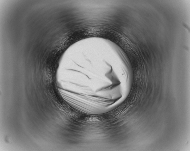 X0000096130751200802081325
