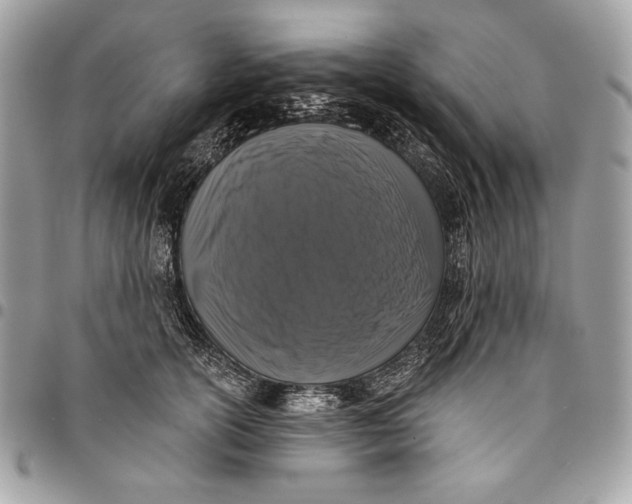 X0000096130754200802081325