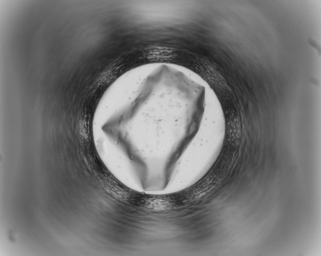 X0000096130755200802081325