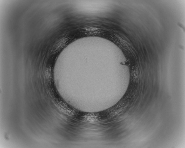 X0000096130756200802081325