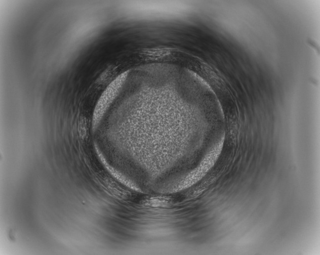 X0000096130758200802081325