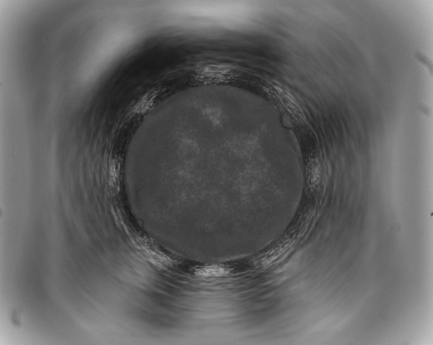 X0000096130759200802081325