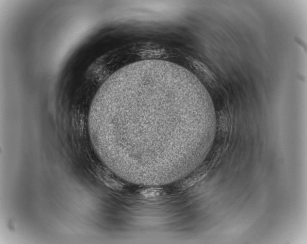 X0000096130761200802081325