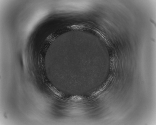 X0000096130762200802081325